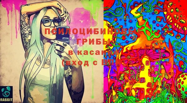PSILOCYBIN Абдулино