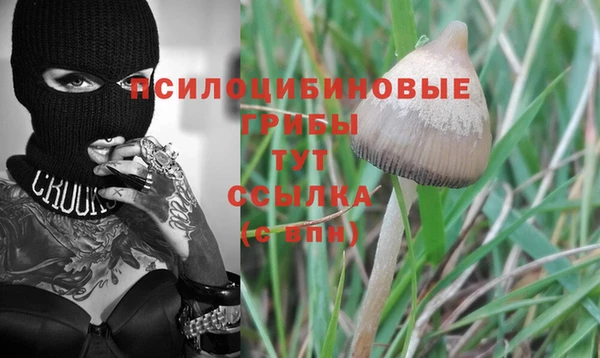 гашиш Абаза