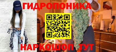 скорость Кудрово