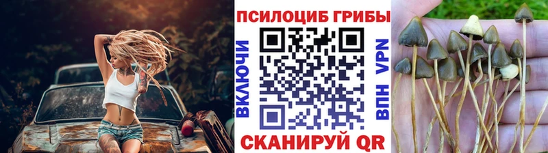 Псилоцибиновые грибы ЛСД  Элиста 