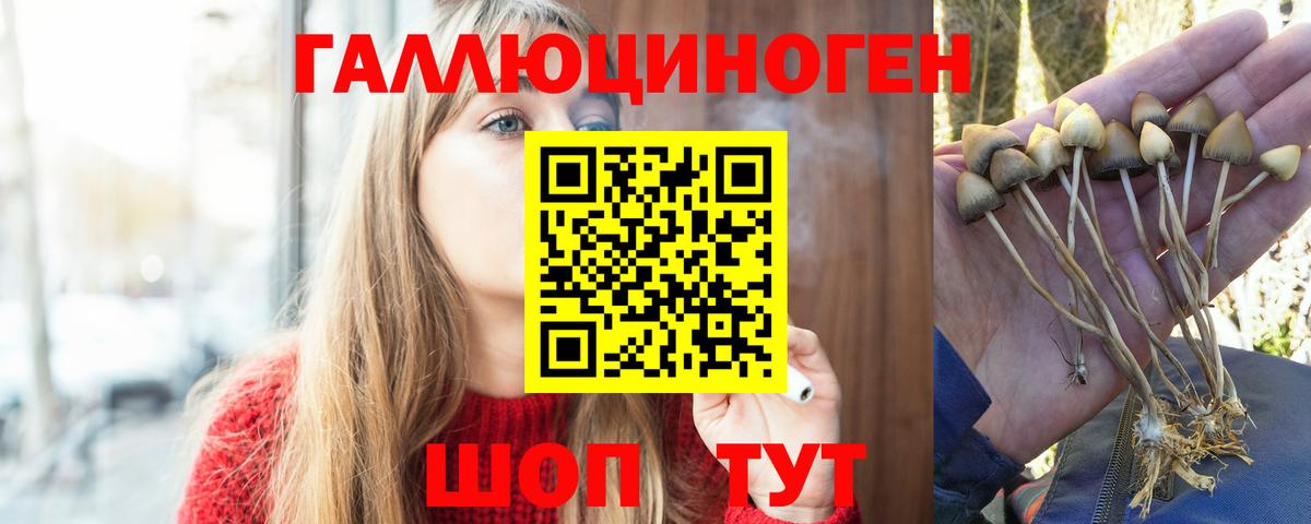Псилоцибиновые грибы прущие грибы Элиста