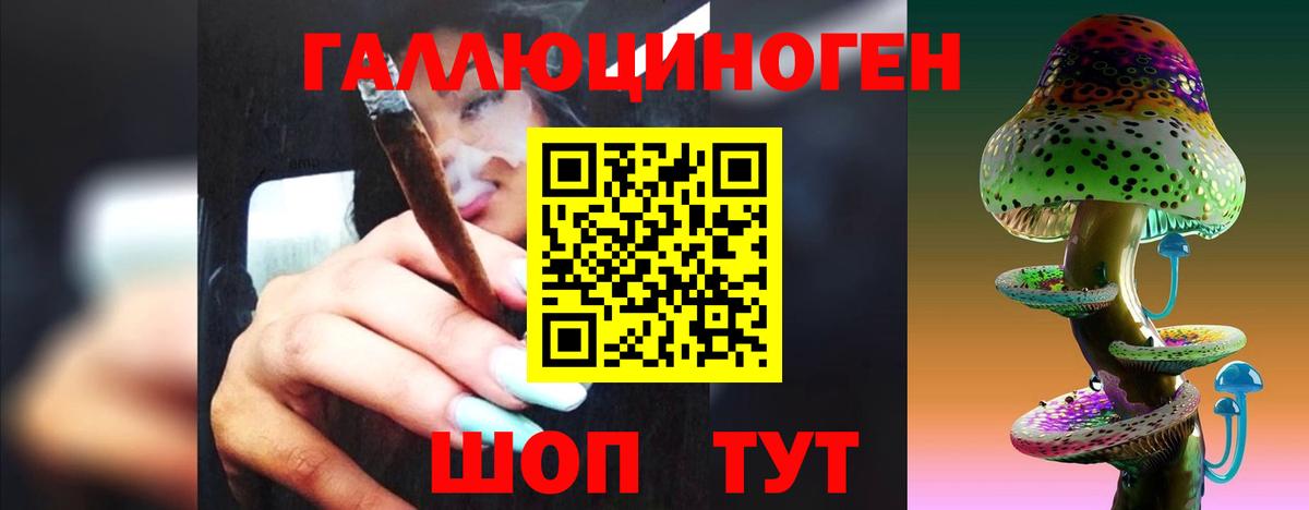 Псилоцибиновые грибы Psilocybine cubensis  Галлюциногенные грибы Psilocybine cubensis  Элиста  Вход с VPN 